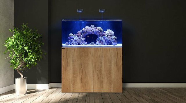 Aquarium marine oleh Teratak Karang Laut